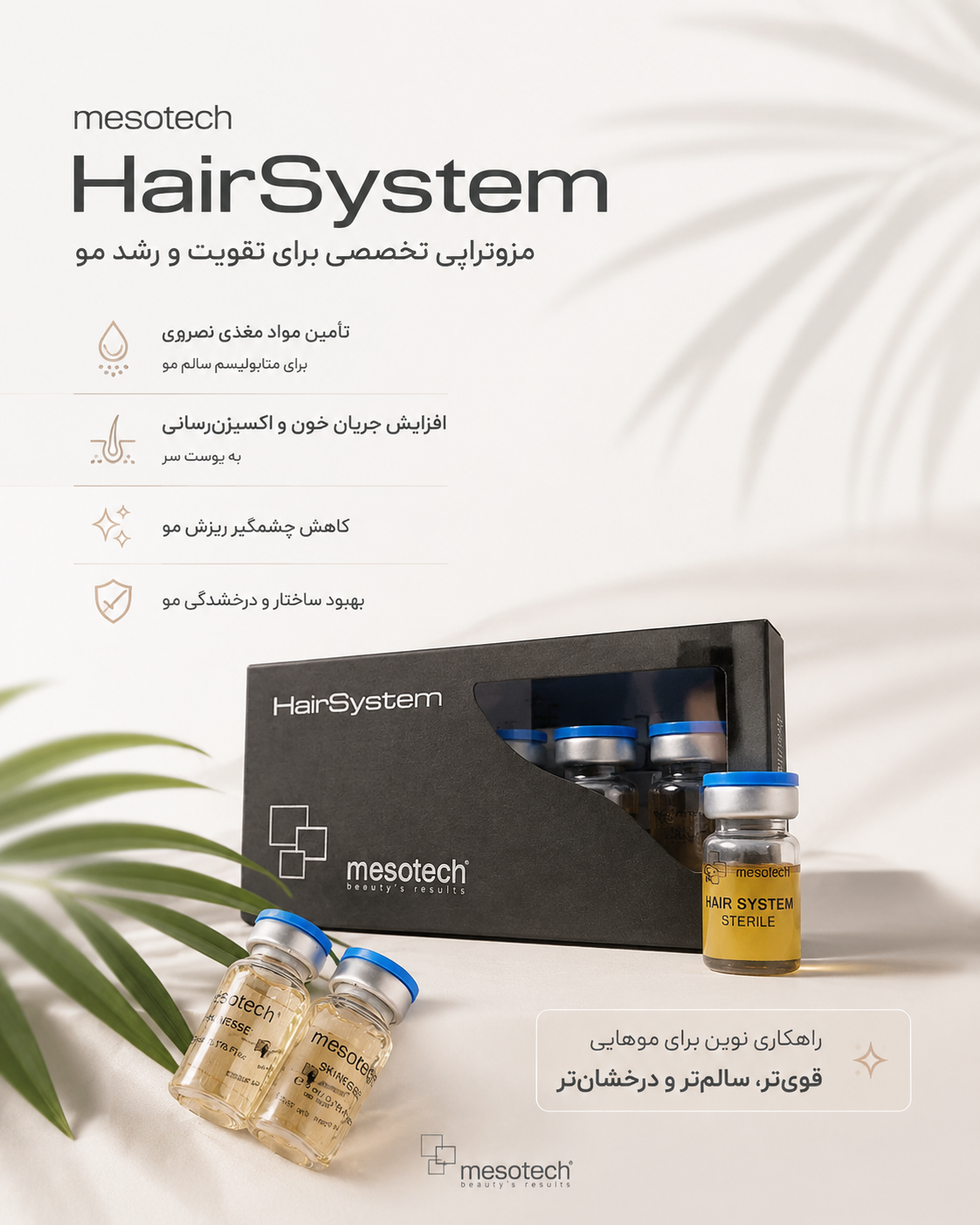 هیرفیلرمزوتیچ (هیرسیستم)